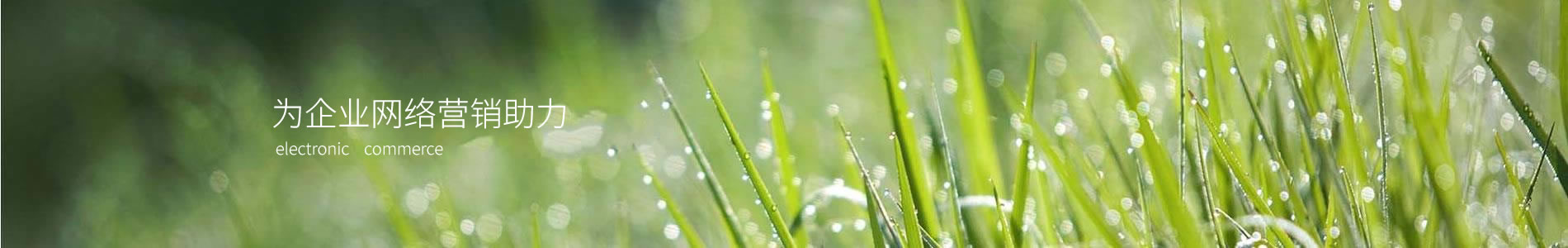 ټҿƼ޹˾Ϸֹ˾